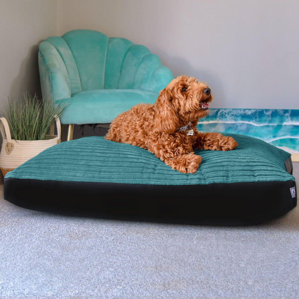 Archie & Oscar Dog Bed Jumbo Cord Medium Wayfair.co.uk